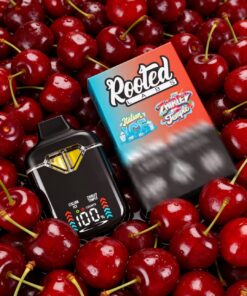 Rooted Labs Italian Ice x Zhirley Temple 2g Disposable